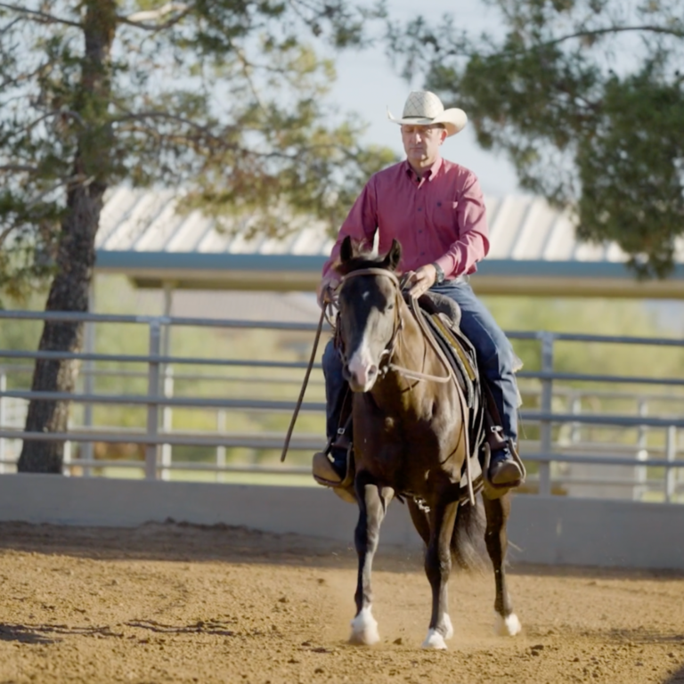 NATIONAL MULE DAY (1)