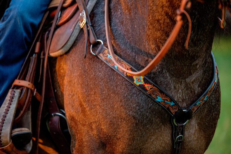 Breastcollar and Sunset