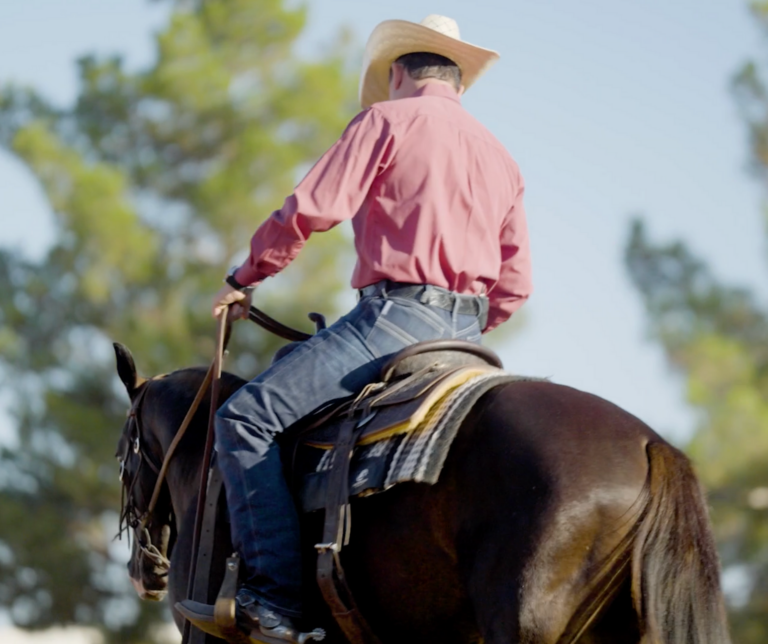 Untitled-design-2023-12-05T100342