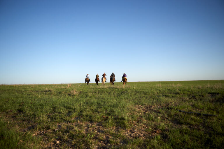 Five cowboys riding over open grassland
