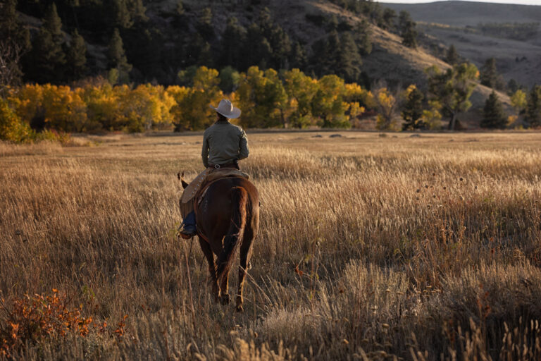 Wyoming Cowgirl