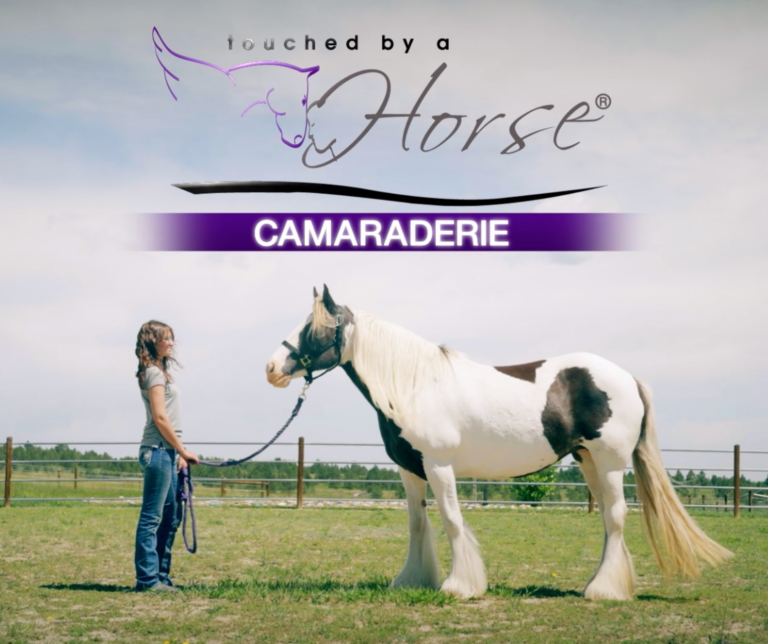 Untitled design - 2024-01-09T145227