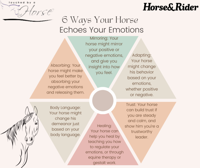 6-ways-