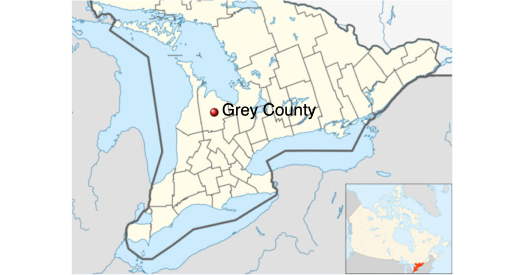 A Warmblood broodmare in Grey County, Ontario, was confirmed positive for EHV-1 after arriving to the farm from a sale in Illinois.