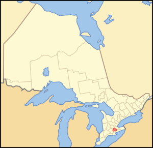 A gelding at a boarding facility in Brant County, Ontario, is positive for equine influenza, and 18 horses are potentially exposed.