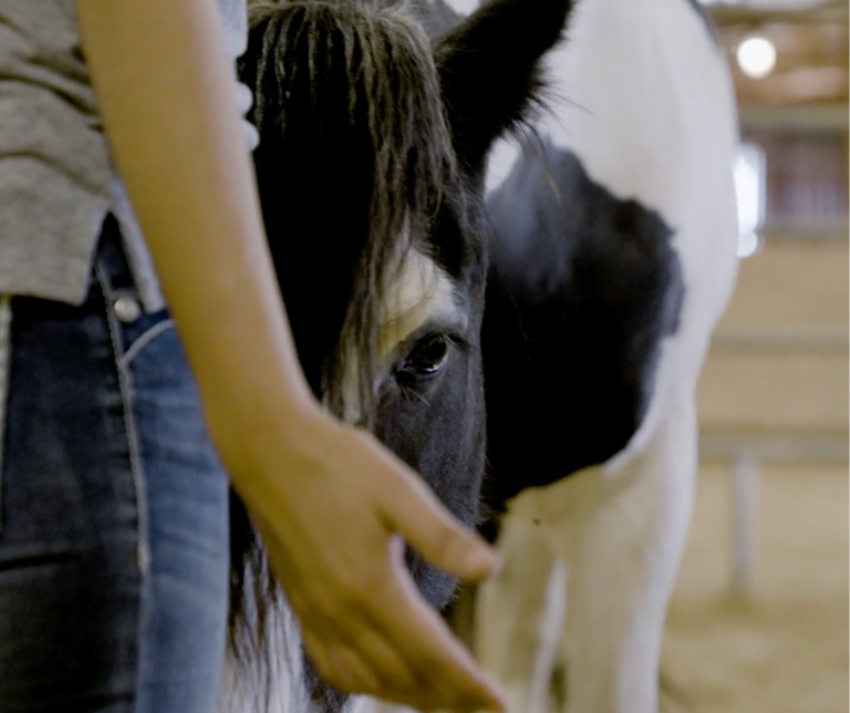 Untitled-design-2024-02-09T215801