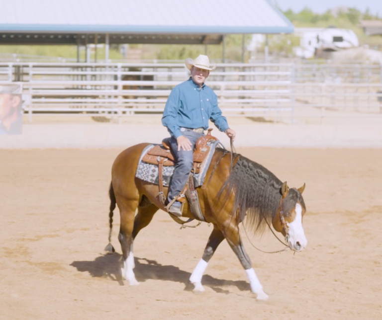 Untitled design - 2024-02-23T125201