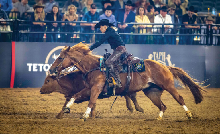 018_HR_SPG24_travel_American Performance Horseman_01