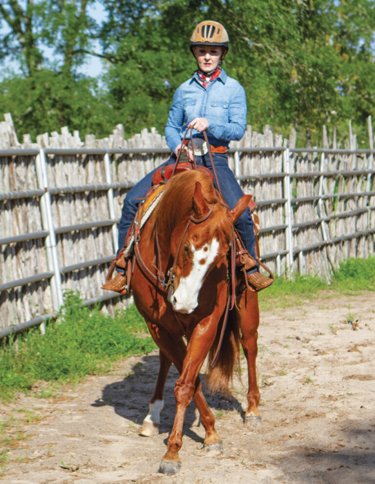 HR_24SPG_Confident Rider