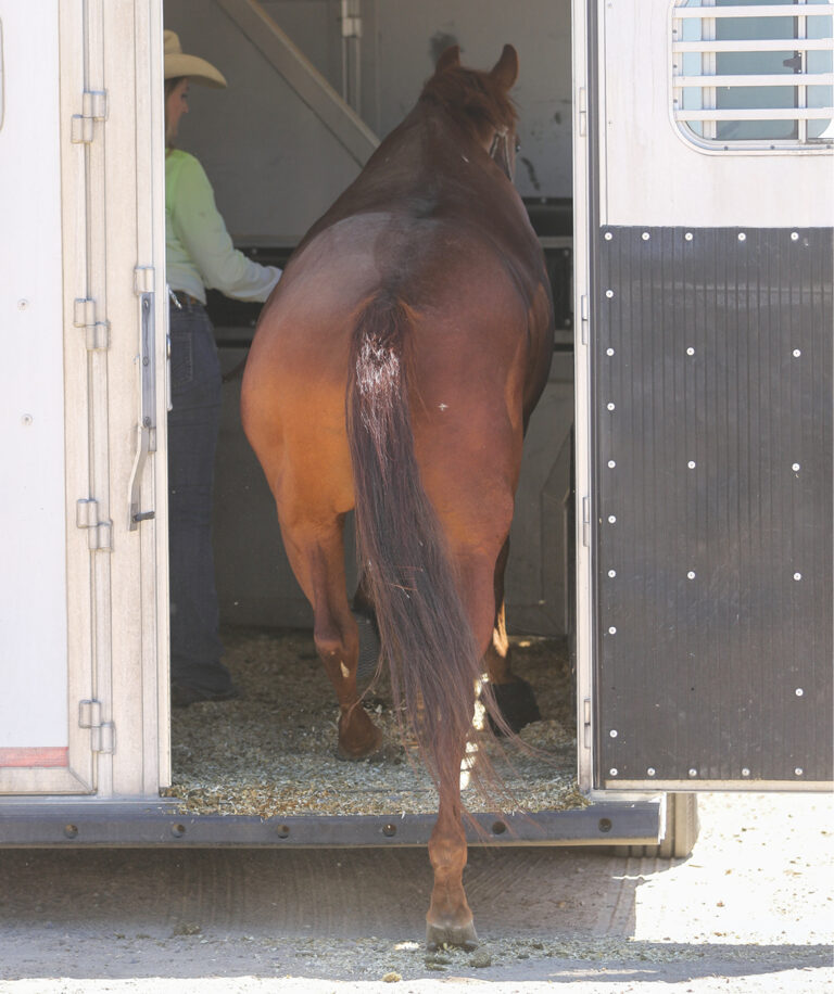 HR_24SPG_Problem Solved_loading_Al Dunning