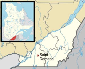 One horse in Saint-Damase, Quebec, has tested positive for equine infectious anemia (EIA). 