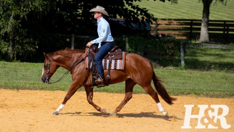 249187778_10159536503713703_1121558774571539099_n