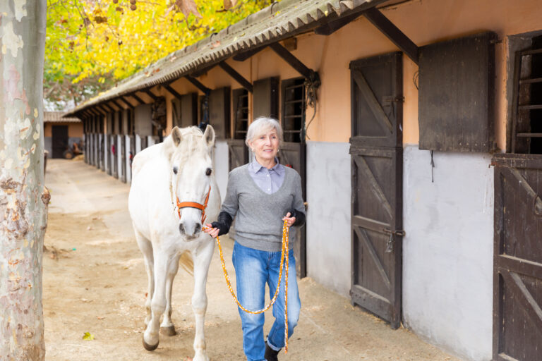 Elderly woman leading white horse by bridle outdoors along stalls