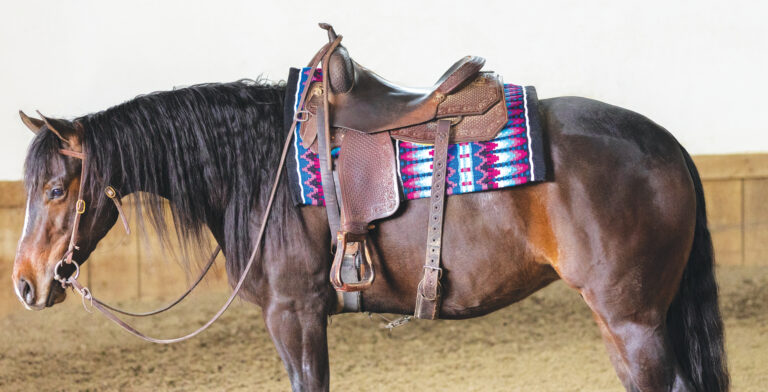 HR_24BON Grooming Feature_01