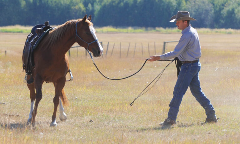 HR_24BON_Confident Rider_Jonathan_Field_ground-training_01