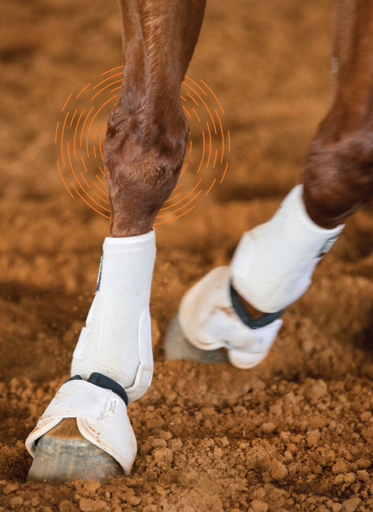 HR_24BON_Crabbe Dont Call it Maintenance_crabbe_01