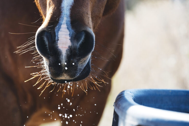 HR_24BON_Health_Electrolyte-Supplementation_01