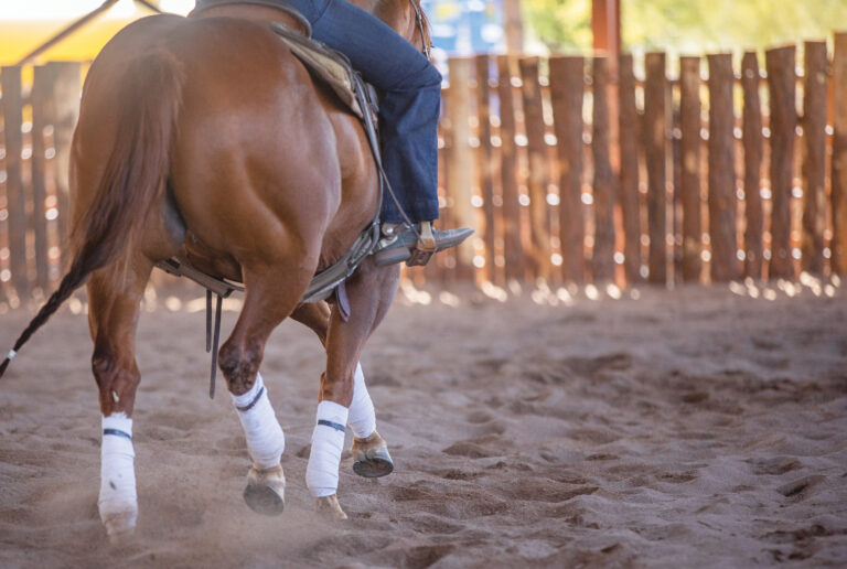 HR_24BON_Horsekeeping_Ulcers_01