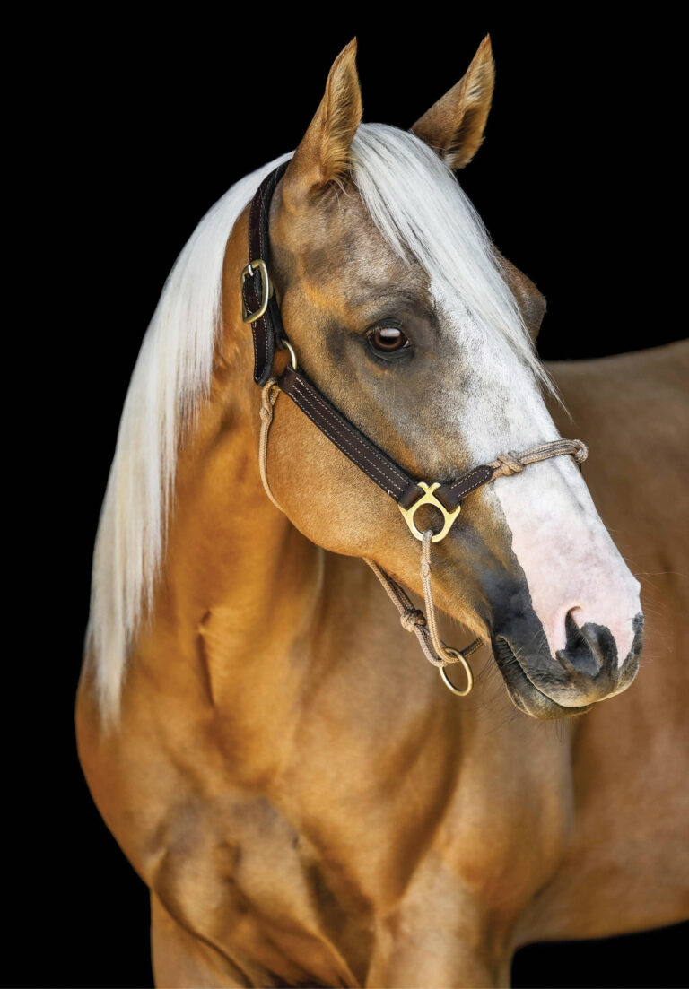 HR_24BON_Solutions_Travel_01