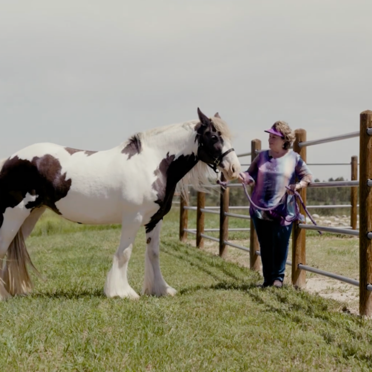 Untitled design - 2024-04-08T140526