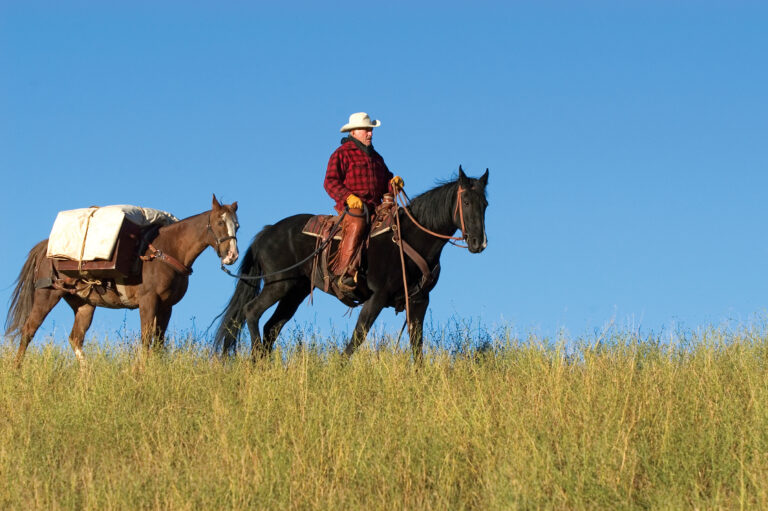 Cowboy leading a pack horse