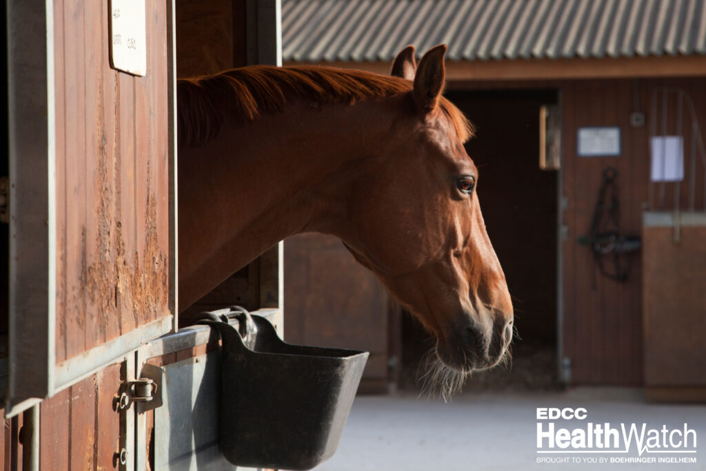 Two horses in Canada, located in Alberta and Saskatchewan, recently tested positive for EIA.