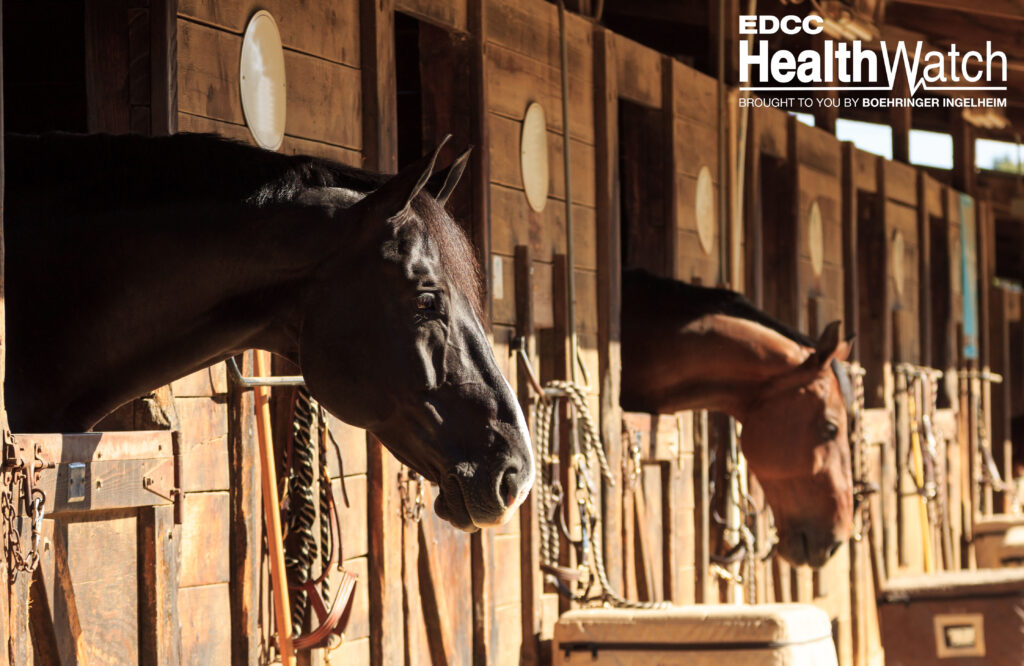 Five horses in Peterborough County and one horse in the United Counties of Prescott and Russell, Ontario, recently tested positive for strangles. 