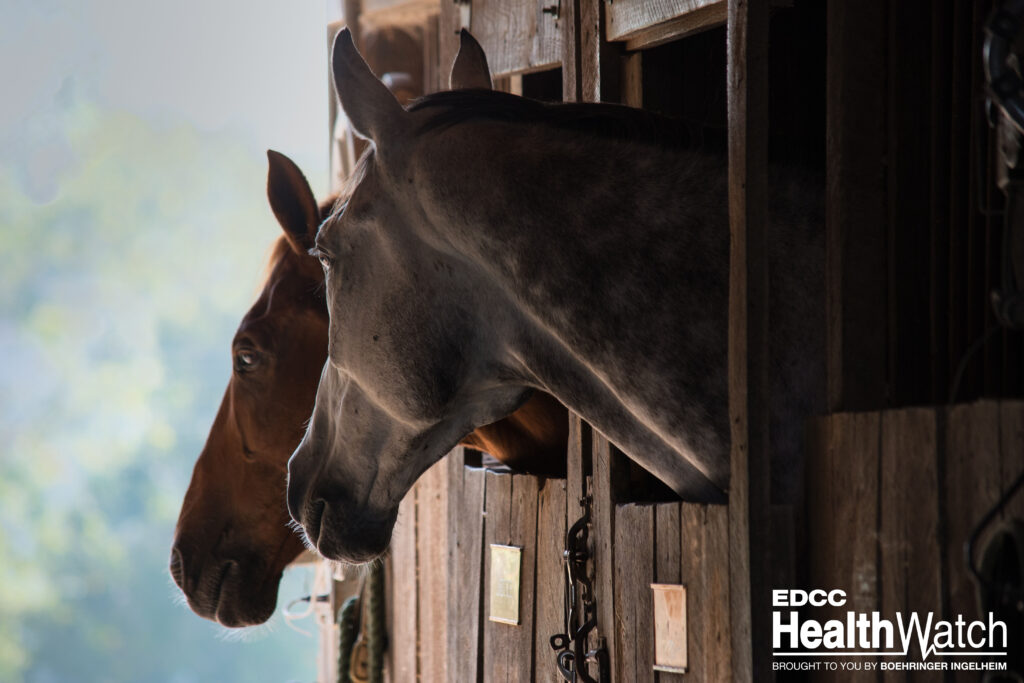A barn in Los Angeles County, California, where two horses previously tested positive for EIA, has been released from quarantine. 