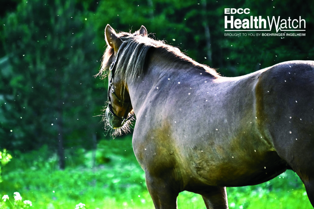 Two horses in Penobscot County, Maine, recently tested positive for EEE and are now deceased.