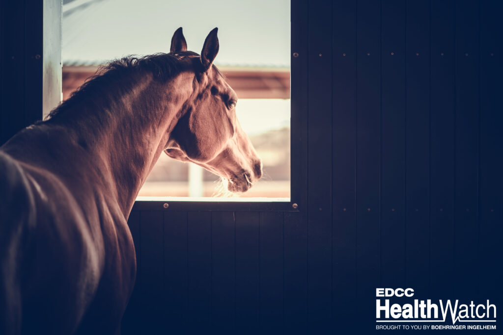 One horse in Columbia County, Wisconsin, was recently confirmed positive for neurologic EHV and euthanized.