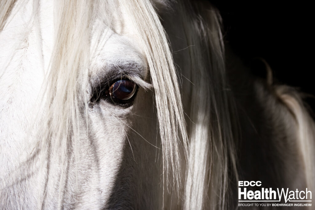 Three horses in Texas, located in El Paso, Ellis, and Hunt counties, recently tested positive for EIA and were euthanized. 