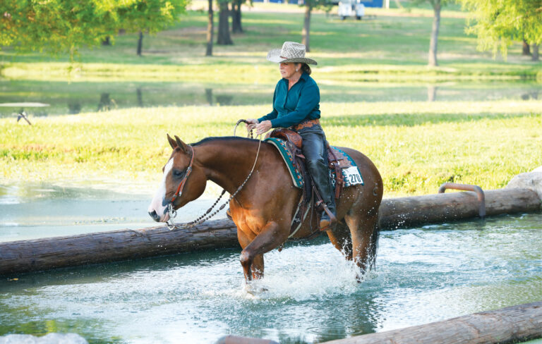 HR_24BON_Travel_Amarillo-texas_01