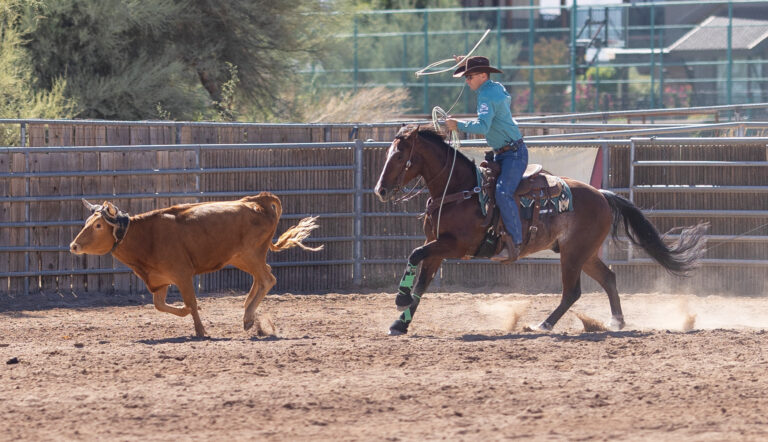 HR_24BON_Winning Insights_Brad-Barkemeyer_Steer-Stopping