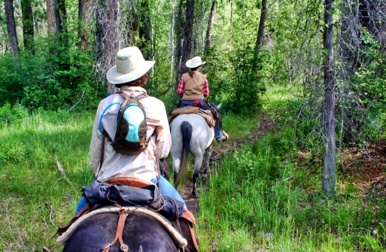 Trail ride at a guest ranch in Colorado