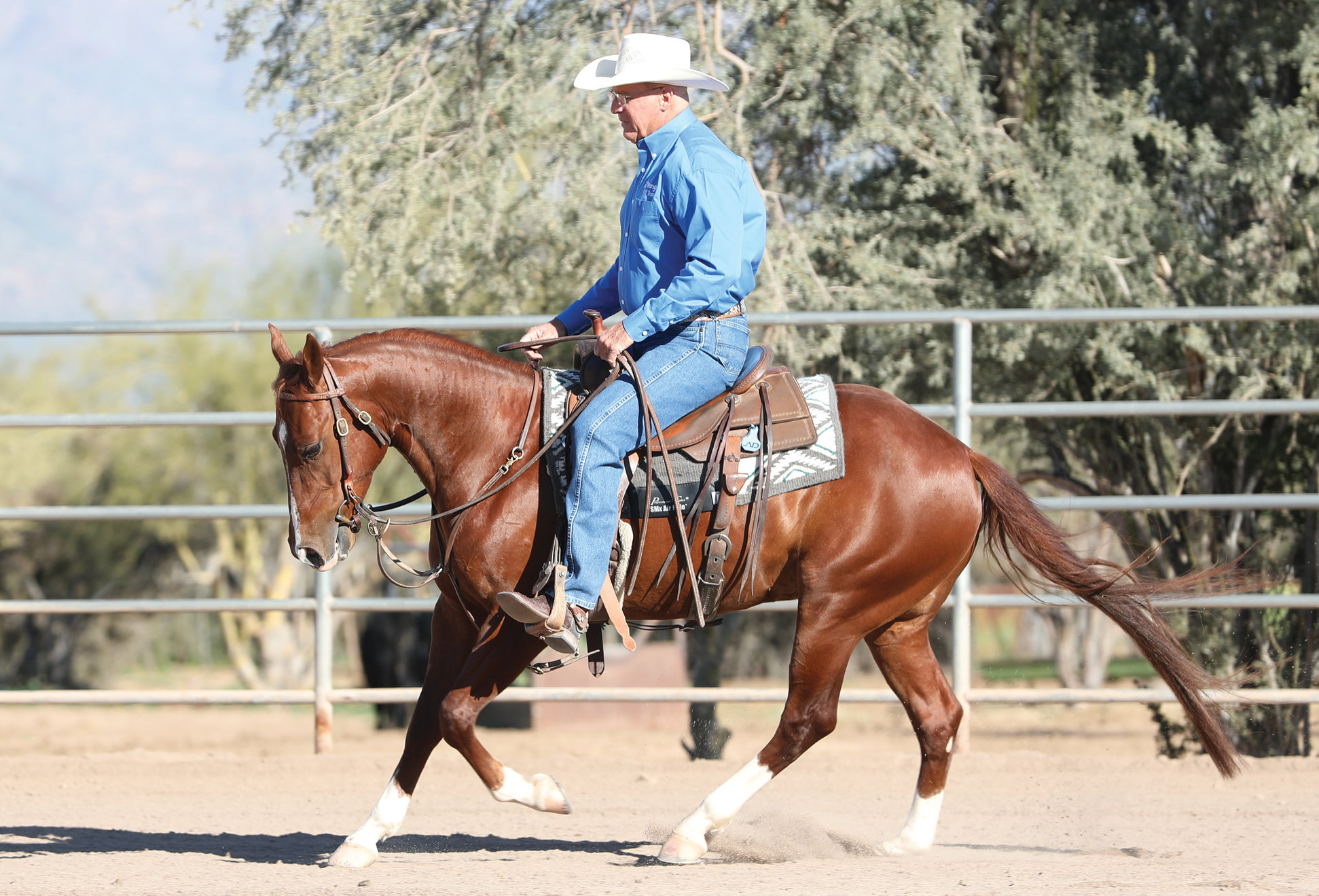 Why the Rush? - Horse&Rider