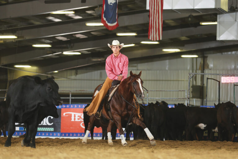 HR_24SUM_Travel_NHSFR_WY_01