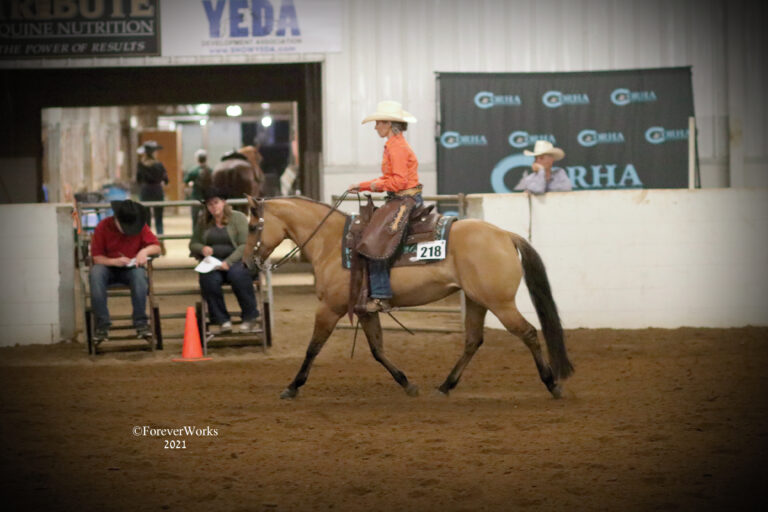 Stacy-Westfall-ranch-trot-1