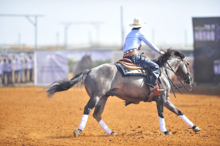 The rider on horseback