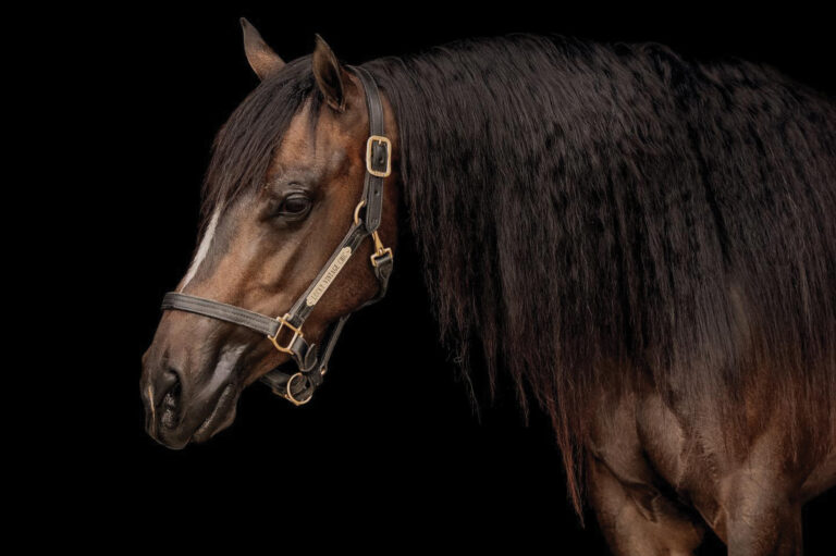 HR_24SUM_Edit Letter_Keira