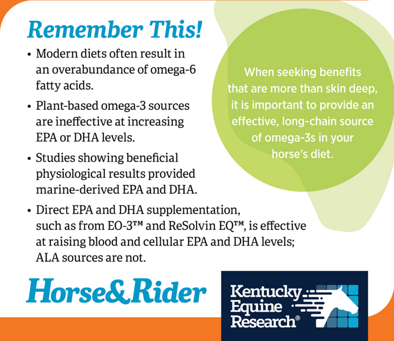 2024-Kentucky-Equine-Research-infographic_05