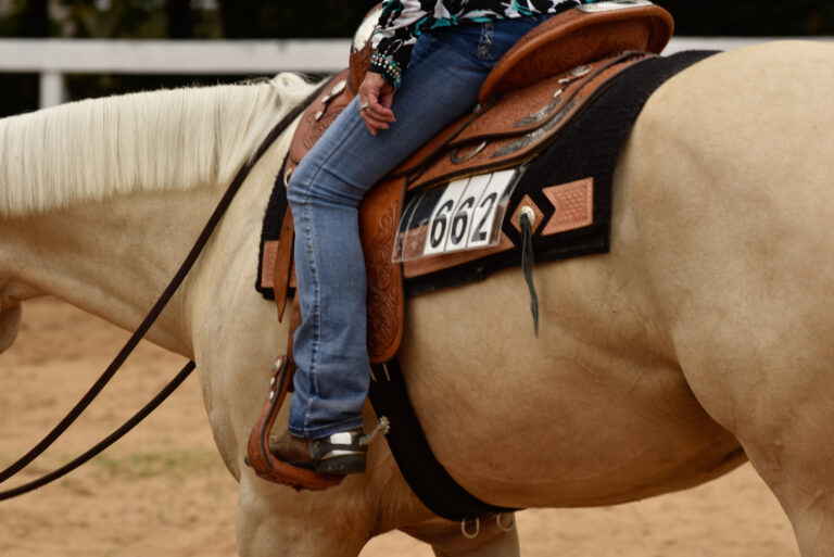 Summer western horse show