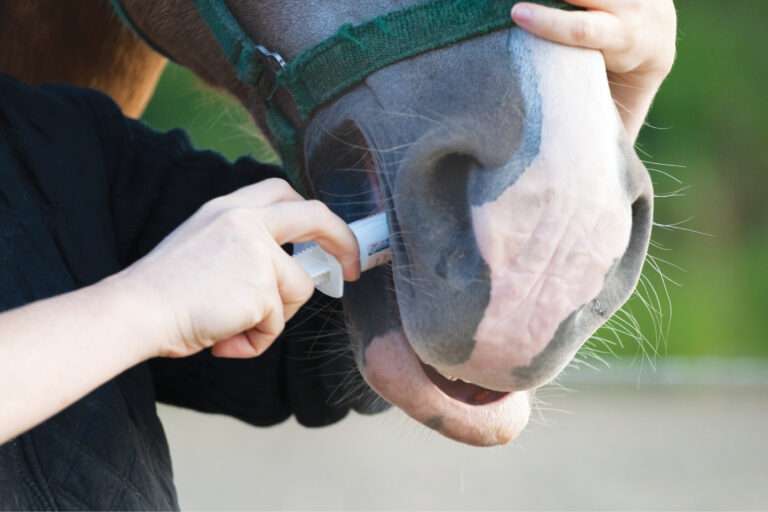 HR_24FALL_Health_Deworming_01