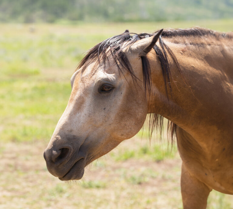 HR_24FALL_Problem Solved_Al-Dunning_01