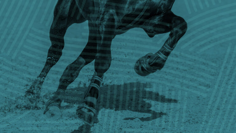 Joints-Header_1920x1080