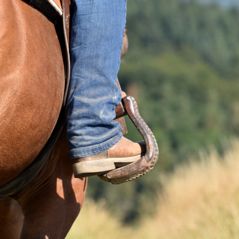 Untitled design - 2024-09-05T202049