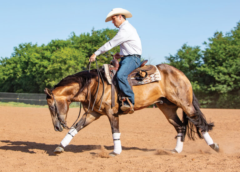 HR_24WIN_Focus on Finesse_Fernando Salgado_01