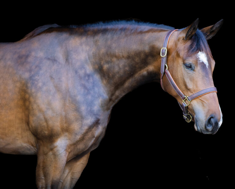 HR_24WIN_Health_Topline_01