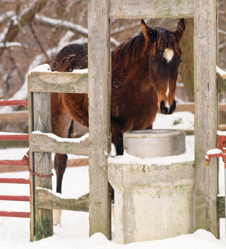 HR_24WIN_Solutions_Winter-Watering_01