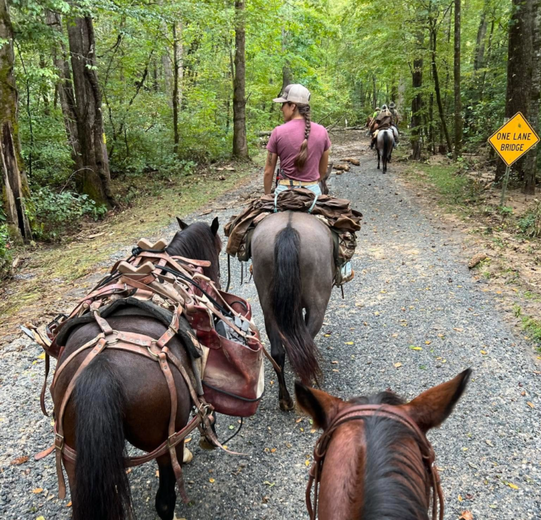 Packing supplies in to Western North Carolina