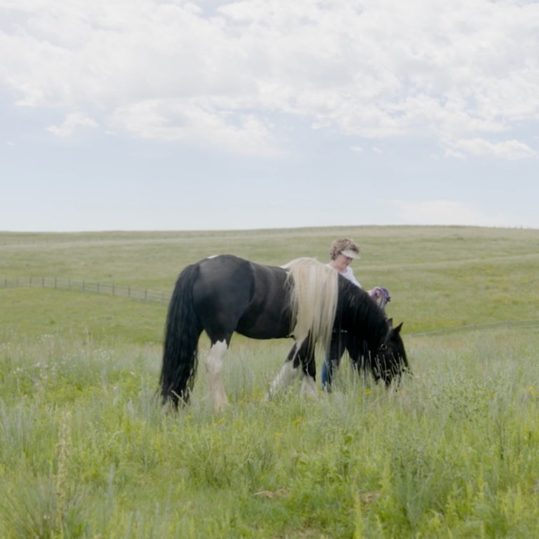 Untitled design - 2024-10-10T104035